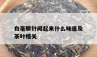 白毫银针闻起来什么味道及茶叶相关