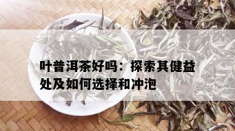 叶普洱茶好吗：探索其健益处及如何选择和冲泡