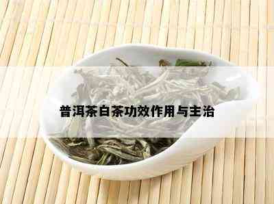 普洱茶白茶功效作用与主治