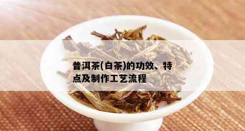 普洱茶(白茶)的功效、特点及制作工艺流程