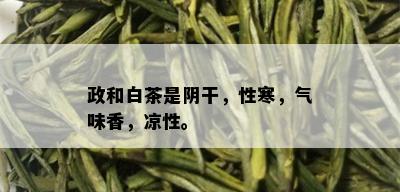 政和白茶是阴干，性寒，气味香，凉性。