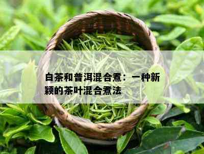 白茶和普洱混合煮：一种新颖的茶叶混合煮法