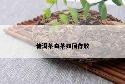 普洱茶白茶如何存放