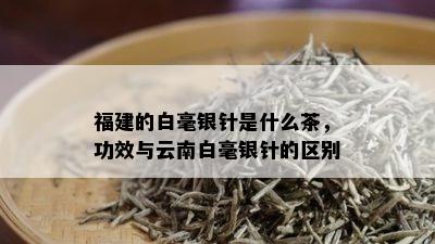 福建的白毫银针是什么茶，功效与云南白毫银针的区别