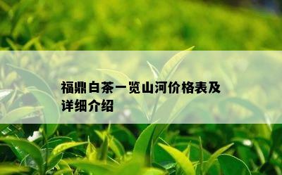 福鼎白茶一览山河价格表及详细介绍