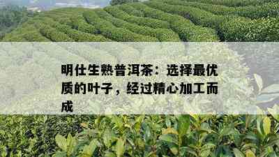 明仕生熟普洱茶：选择更优质的叶子，经过精心加工而成