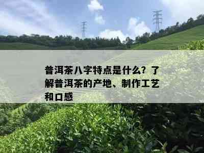 普洱茶八字特点是什么？了解普洱茶的产地、制作工艺和口感