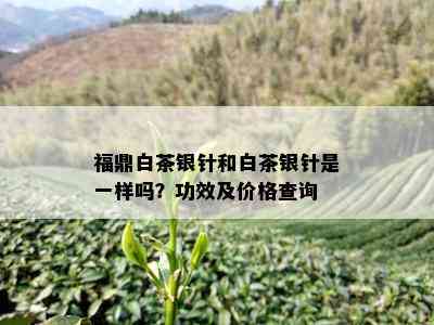 福鼎白茶银针和白茶银针是一样吗？功效及价格查询