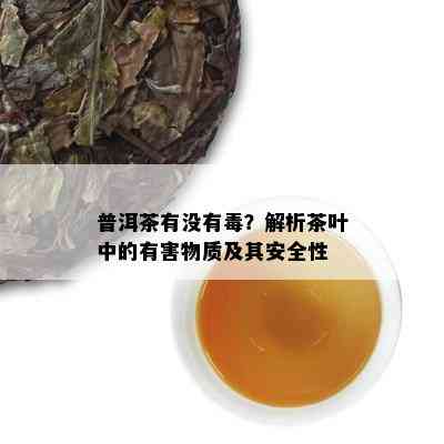 普洱茶有没有？解析茶叶中的有害物质及其安全性