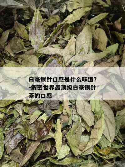 白毫银针口感是什么味道？-解密世界最顶级白毫银针茶的口感