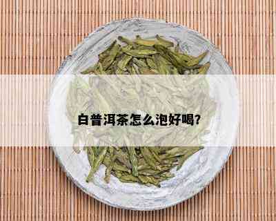 白普洱茶怎么泡好喝？