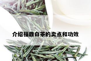 介绍福鼎白茶的卖点和功效