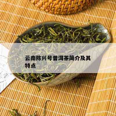 云南陈兴号普洱茶简介及其特点