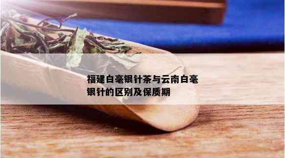 福建白毫银针茶与云南白毫银针的区别及保质期