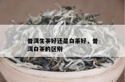 普洱生茶好还是白茶好，普洱白茶的区别