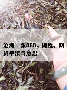 沧海一粟888，课程、期货手法与意思