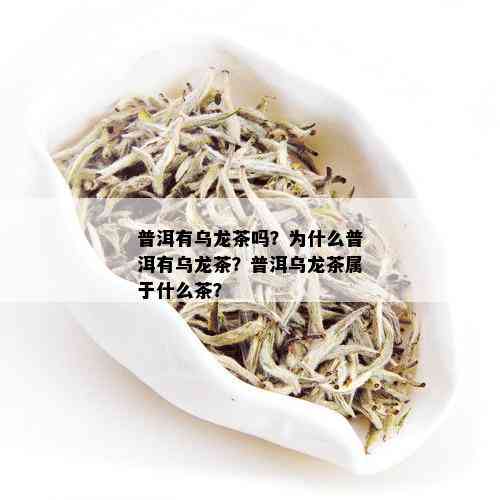 普洱有乌龙茶吗？为什么普洱有乌龙茶？普洱乌龙茶属于什么茶？