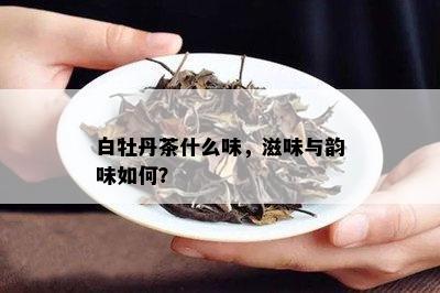 白牡丹茶什么味，滋味与韵味如何？