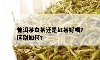 普洱茶白茶还是红茶好喝？区别如何？