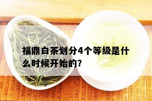 福鼎白茶划分4个等级是什么时候开始的？