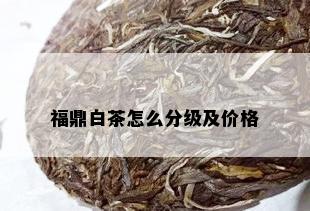 福鼎白茶怎么分级及价格