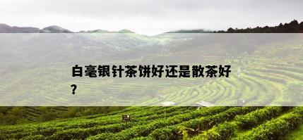 白毫银针茶饼好还是散茶好？