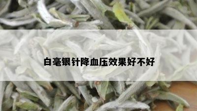 白毫银针降血压效果好不好