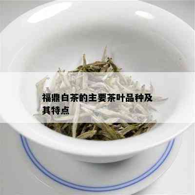 福鼎白茶的主要茶叶品种及其特点