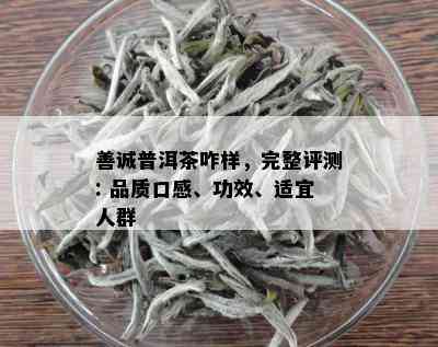 善诚普洱茶咋样，完整评测: 品质口感、功效、适宜人群