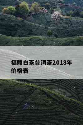 福鼎白茶普洱茶2018年价格表