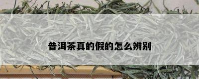 普洱茶真的假的怎么辨别