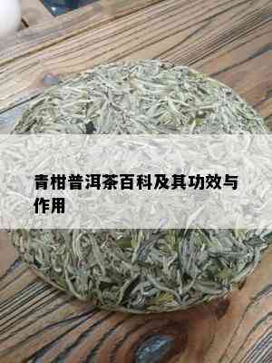 青柑普洱茶百科及其功效与作用