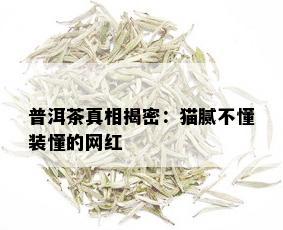 普洱茶真相揭密：猫腻不懂装懂的网红