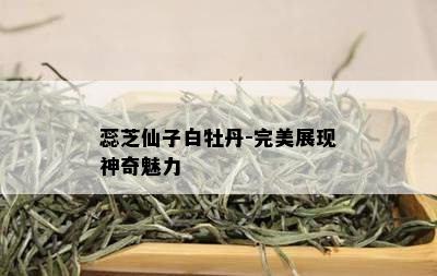 蕊芝仙子白牡丹-完美展现神奇魅力