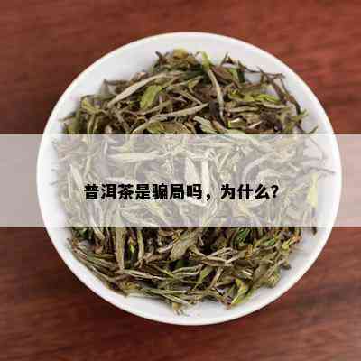 普洱茶是骗局吗，为什么？