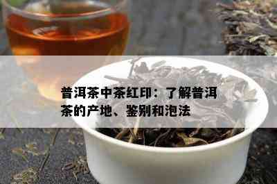 普洱茶中茶红印：了解普洱茶的产地、鉴别和泡法