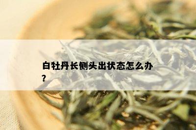 白牡丹长侧头出状态怎么办？