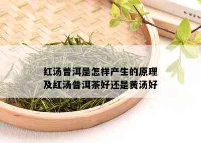 红汤普洱是怎样产生的原理及红汤普洱茶好还是黄汤好