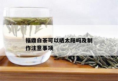 福鼎白茶可以晒太阳吗及制作注意事项