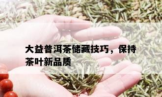 大益普洱茶储藏技巧，保持茶叶新品质