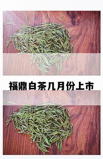 福鼎白茶几月份上市