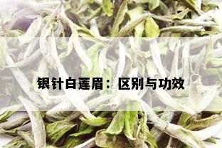 银针白莲眉：区别与功效