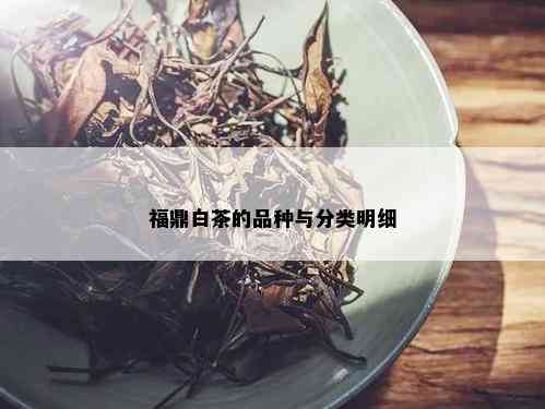 福鼎白茶的品种与分类明细