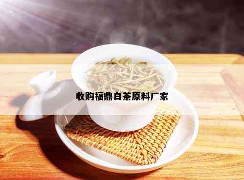 收购福鼎白茶原料厂家