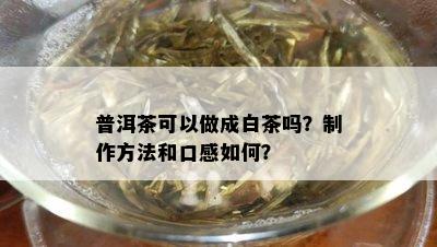 普洱茶可以做成白茶吗？制作方法和口感如何？