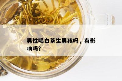 男性喝白茶生男孩吗，有影响吗？