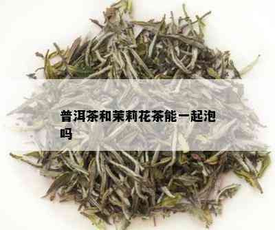 普洱茶和茉莉花茶能一起泡吗