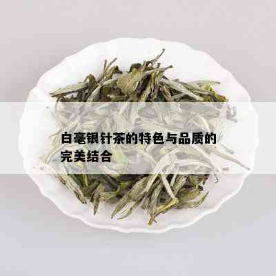 白毫银针茶的特色与品质的完美结合