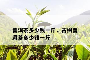 普洱茶多少钱一斤，古树普洱茶多少钱一斤