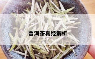 普洱茶真经解析